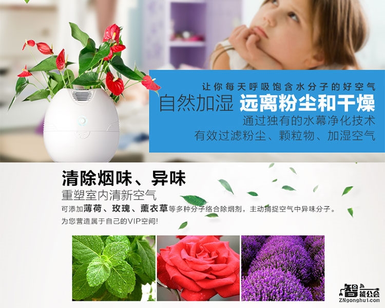 一款独属于你的桌面净化精灵！ 智能公会