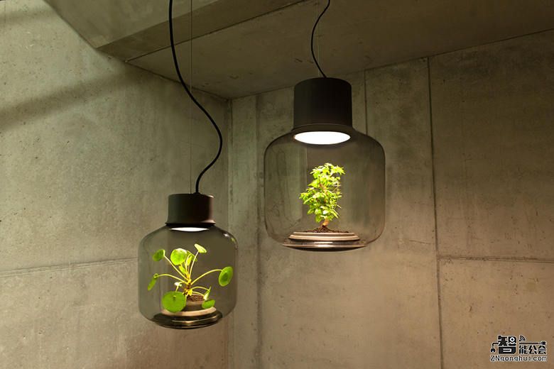 这哥们竟然给黑暗环境带来一抹绿和光 智能公会