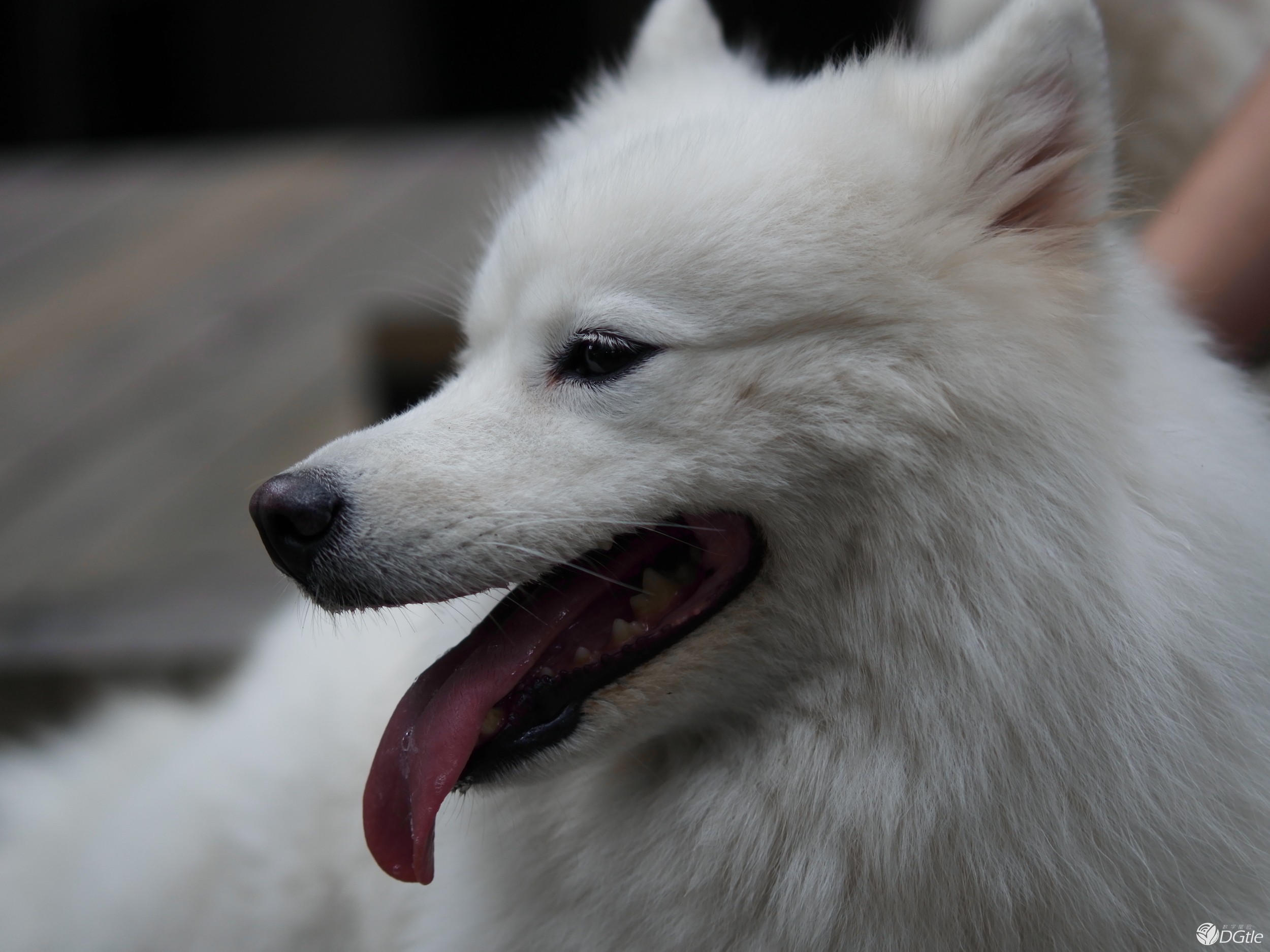 平价摄影风潮  小蚁微单相机M1线下体验  智能公会