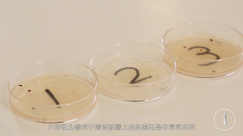 除螨效果哪家强？三款除螨仪全方位性能PK 智能公会