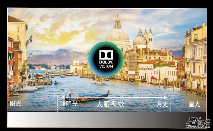 如临现场看世界杯 海信电视让沙发变看台 智能公会