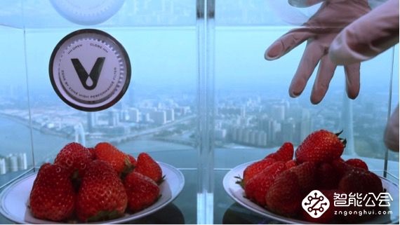 趣味实验：万万没想到草莓最终下场竟然会变这样 智能公会