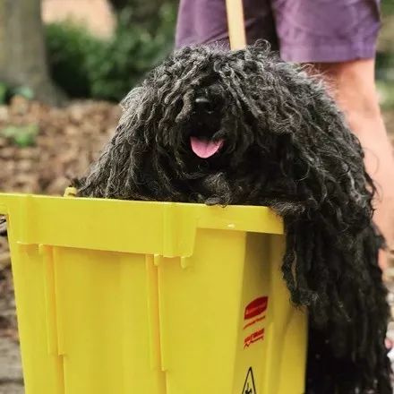 今天万圣节，你是什么鬼？ 智能公会