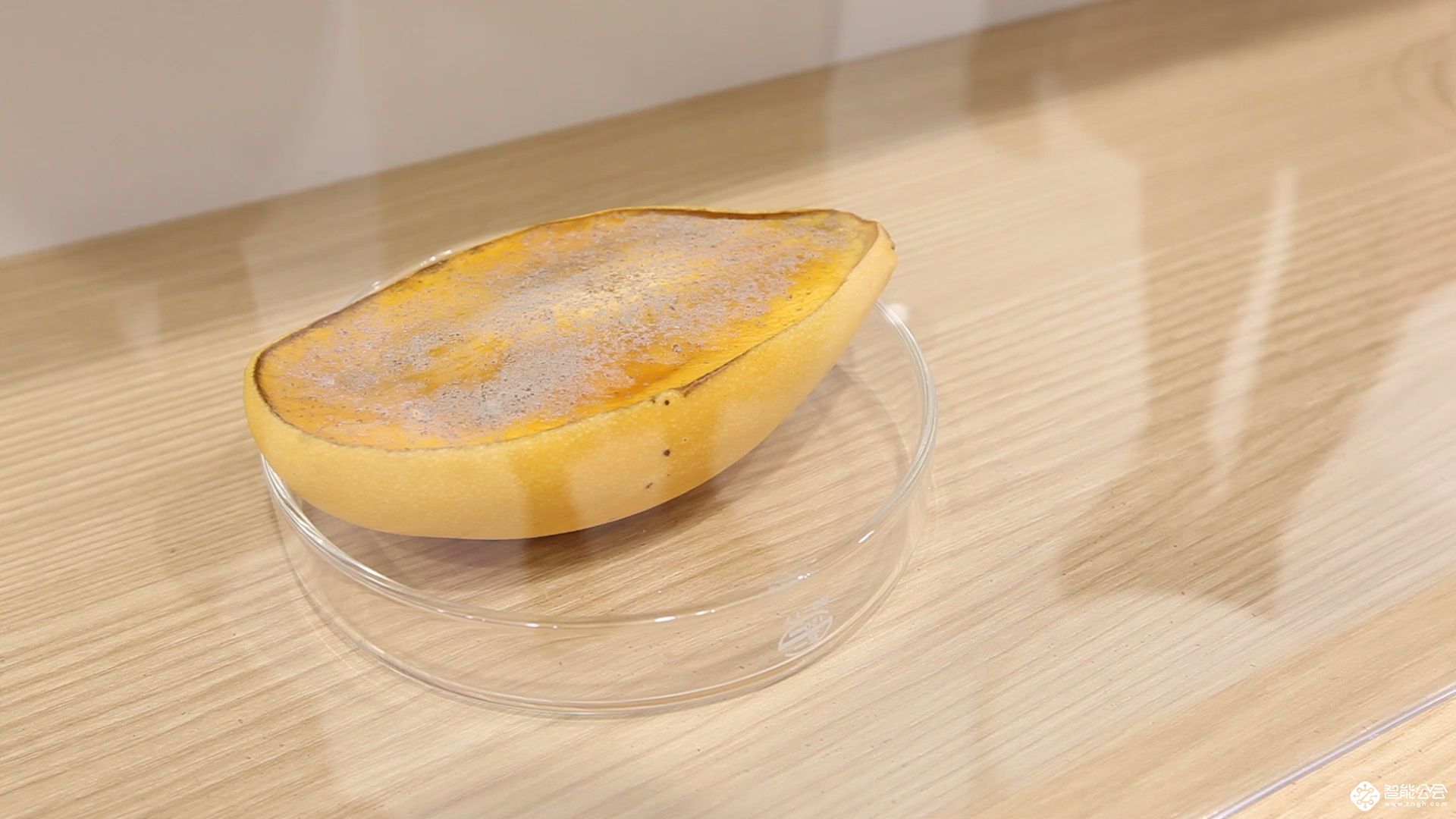 “母婴”标签不能随便贴！能达到母婴级空调的仅海尔 智能公会