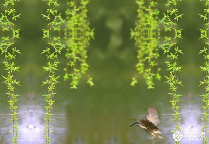 清明节，一个沉重与轻松并存的节日 智能公会