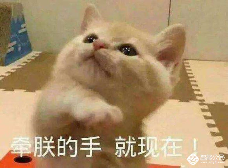 谁说家电就是老派？从今天开始统帅在哪都能“任性”买买买！ 智能公会