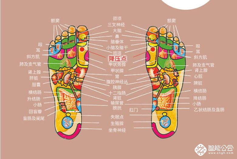 不费丝毫力气的好产品，帮你在不知不觉中实现养生 智能公会