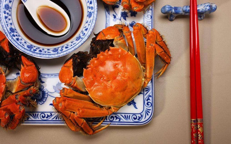 与其人在囧途不如“鲜”享假期 让TCL冰箱提升你的国庆节幸福感 智能公会