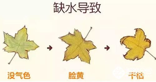 Ipad mini大小的饮水机拯救懒于喝水的你，想要几度要几度 智能公会