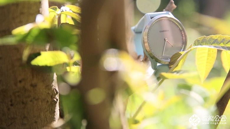 佳明vivomove HR：即使是喜欢传统手表的你也无法抗拒 智能公会