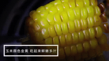 不惧多样需求  九阳蒸汽炸锅SF1征服你的味蕾 智能公会