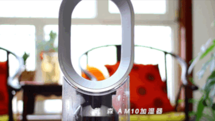 我用亲身经历告诉你 巴慕达和戴森加湿器如何二选一？ 智能公会