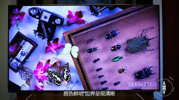 创维A50电视 流畅的交互功能为您带来大屏新体验 智能公会