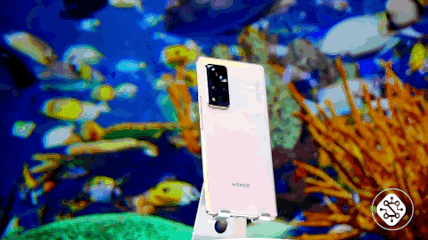  2021重磅新品荣耀V40评测：颜值在线，性能不俗 智能公会