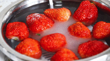  您还在担心食材健康问题吗？九阳净食机为您解决 智能公会