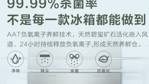 小房子要放大冰箱？安排！TCL 320L大容量冰箱评测 智能公会