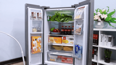 小房子要放大冰箱？安排！TCL 320L大容量冰箱评测 智能公会