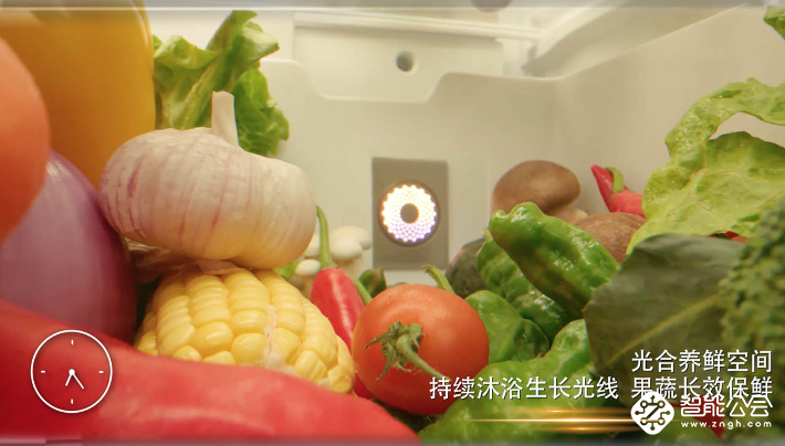 隐形“杀手”挥刀来袭，创维全域净味冰箱巡航出击 智能公会