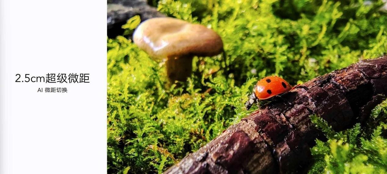 荣耀70系列全新换代凭实力成为焦点 智能公会