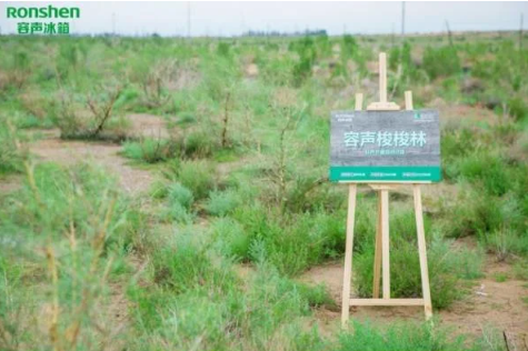 从“经用”到“好用”，40年容声晋位“国货之光” 智能公会