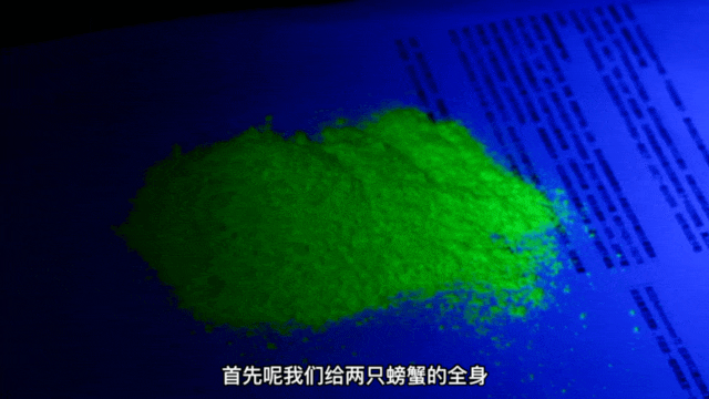 洗鞋机，能洗净？实验证明：海尔能！ 智能公会