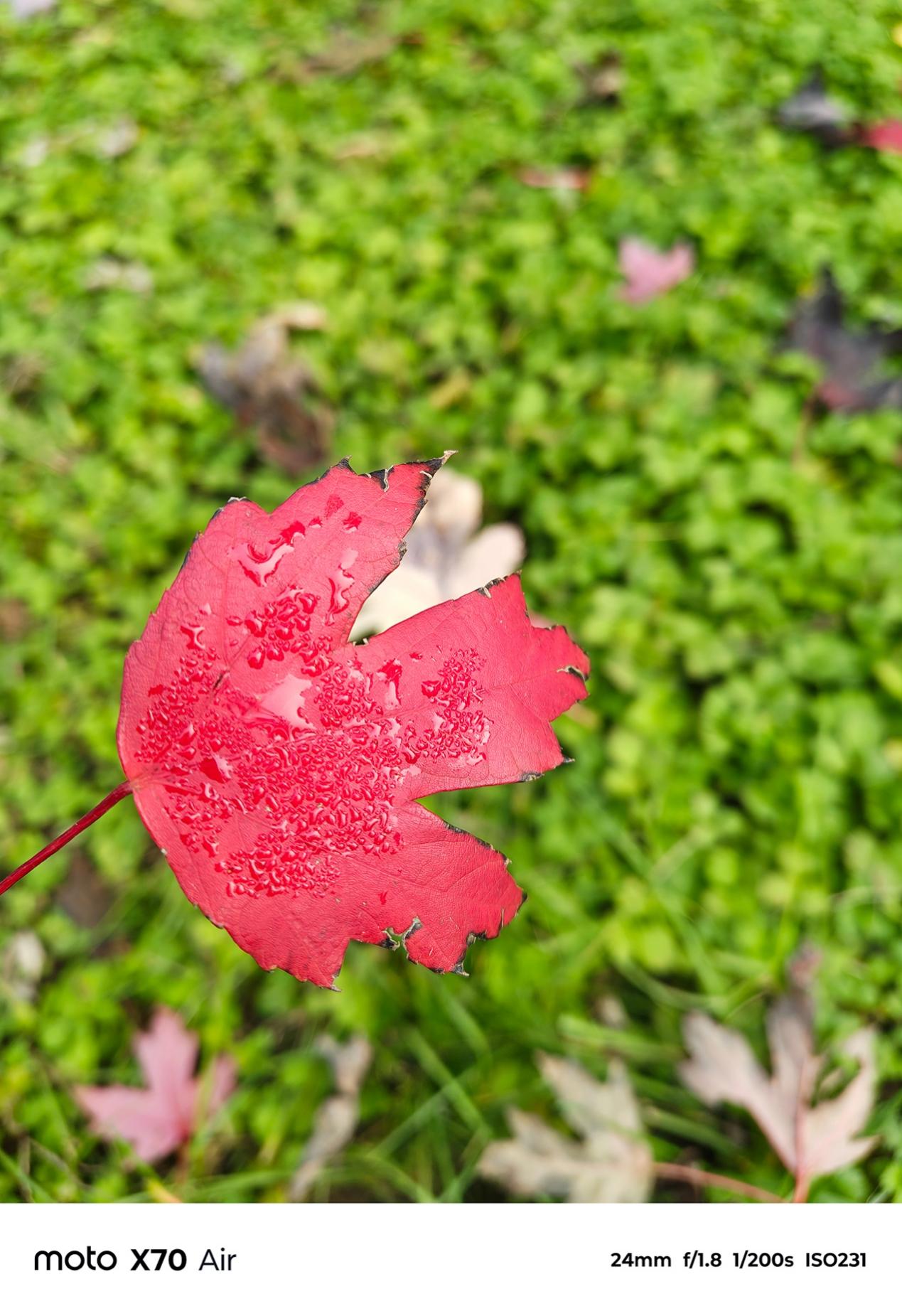 轻薄全能旗舰 体验无短板 联想moto X70 Air AI手机深度评测 智能公会