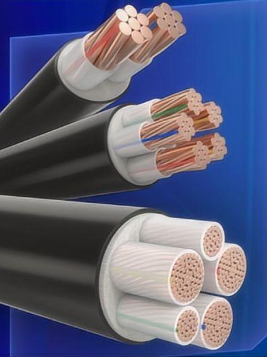 爱谱华顿 WDZB1-YJY 电缆：无卤低烟，高性能工程专用 智能公会